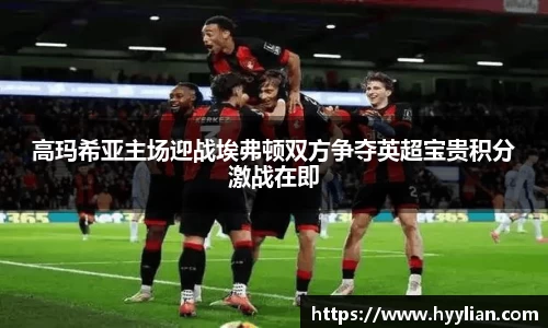 三亿高玛希亚主场迎战埃弗顿双方争夺英超宝贵积分激战在即